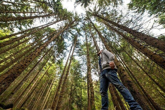 Big Bus San Francisco: Guided Muir Woods Tour - Frequently Asked Questions