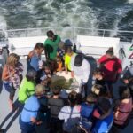 Big Fun Dolphin Cruise & Sealife Experiece ORANGE BEACH ALABAMA - Who Will Love This Tour?