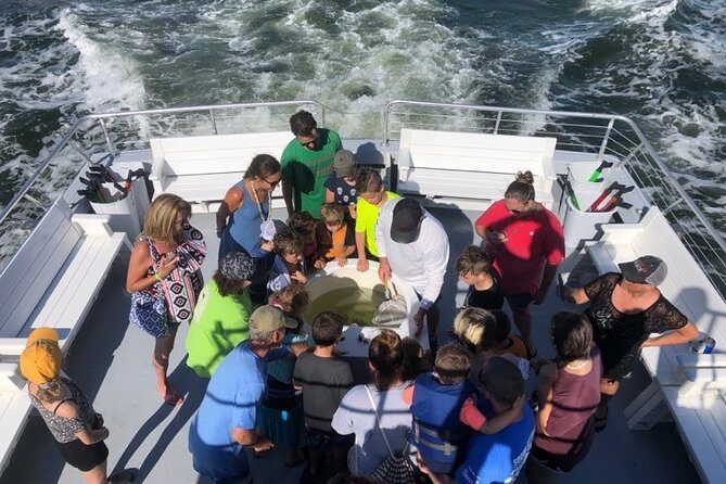 Big Fun Dolphin Cruise & Sealife Experiece ORANGE BEACH ALABAMA