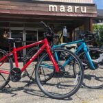 Bike Rentals in Nagano to Explore Snow Monkey Park. - Who Is This Tour Best For?