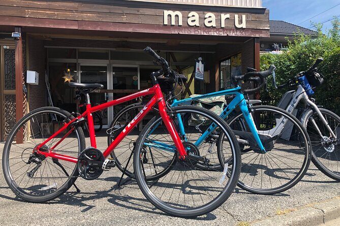 Bike Rentals in Nagano to Explore Snow Monkey Park. - Who Is This Tour Best For?