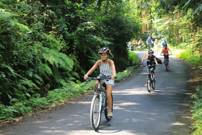 Bike ride in the rice fields, Bali countryside - Who Should Consider This Tour?