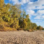 Bike Tour Toronto Harbourfront and Toronto Islands (Economical) - A Detailed Look at the Toronto Harbourfront and Islands Bike Tour