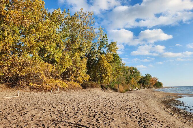 Bike Tour Toronto Harbourfront and Toronto Islands (Economical) - A Detailed Look at the Toronto Harbourfront and Islands Bike Tour