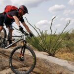 Biking in the Tortolita Mountains - What to Expect on the Tour