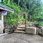 Biliran: Tinago Falls, Farm Tour & Tomalistis Falls Day Trip - Who Is This Tour Best For?