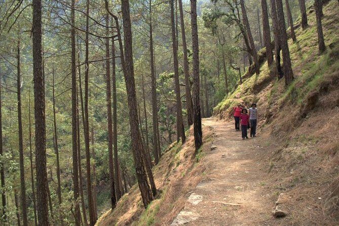 Binsar Sanctuary Walking Holiday - The Itinerary Breakdown