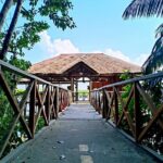 Bintan Mangrove Discovery Tour - Final Thoughts