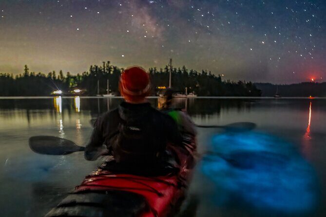 Bioluminescence Kayak Tour at Fort Flagler State Park - The Sum Up