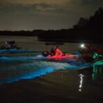 Bioluminescence Night Craigcat Tours - A Deep Dive into the Bioluminescence Night Craigcat Tour