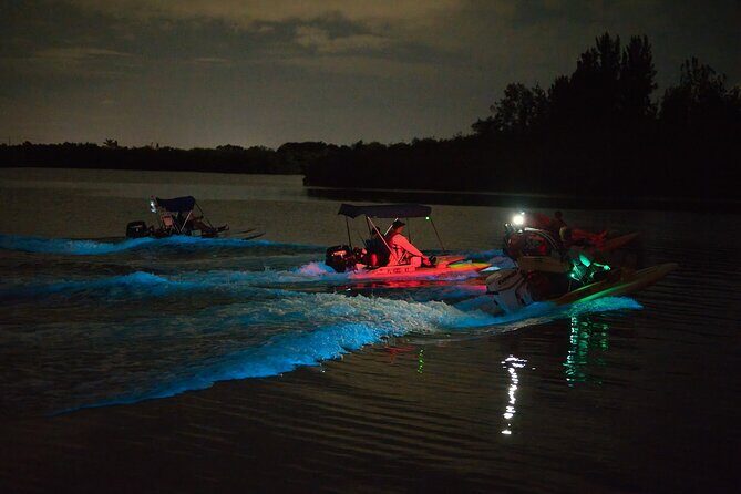 Bioluminescence Night Craigcat Tours - A Deep Dive into the Bioluminescence Night Craigcat Tour