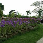 Bird Park & Butterfly Farm Nature Include All Entrance Tour From Kuala Lumpur - Why This Tour Offers Good Value