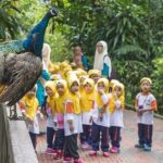 Bird Park & Butterfly Farm Nature Tour From Kuala Lumpur - Final Thoughts