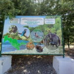 Bird Watching Tours in Samarkand - Exploring the Tour in Depth