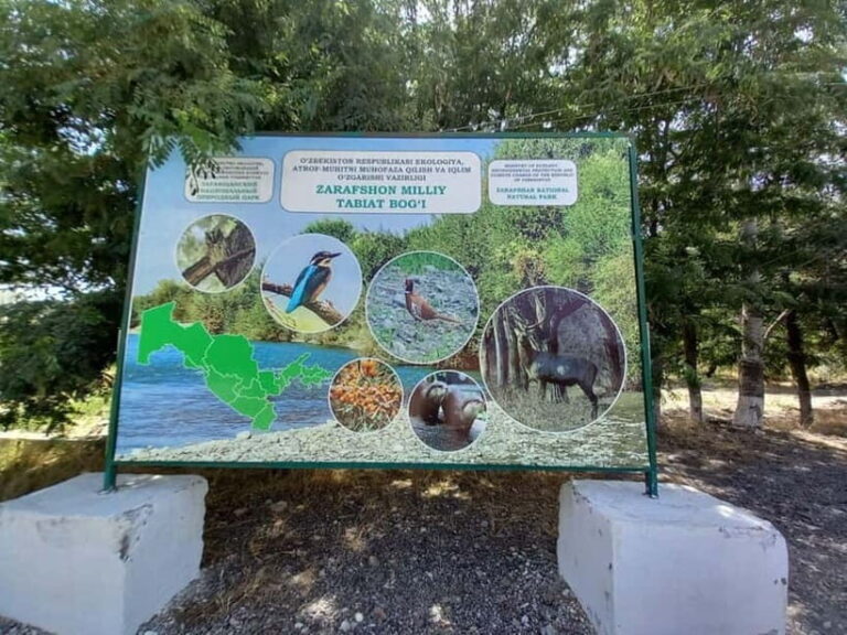 Bird Watching Tours in Samarkand - Exploring the Tour in Depth