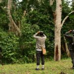 Birdwatching in Coba from Tulum - Shared Group Tour - Who Will Love This Tour?