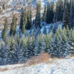 Bishkek:(3 Days) to Explore Nature, History & Nightlife - A Deep Dive into Your Itinerary