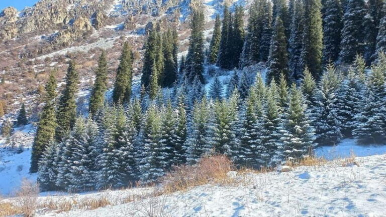 Bishkek:(3 Days) to Explore Nature, History & Nightlife - A Deep Dive into Your Itinerary