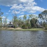 Black Water Adventure Cruise - An In-Depth Look at the Black Water Adventure Cruise