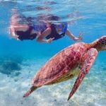 Bloo Lagoon Snorkeling East Bali Includes Transportation & Lunch - Who Would Enjoy This Tour?