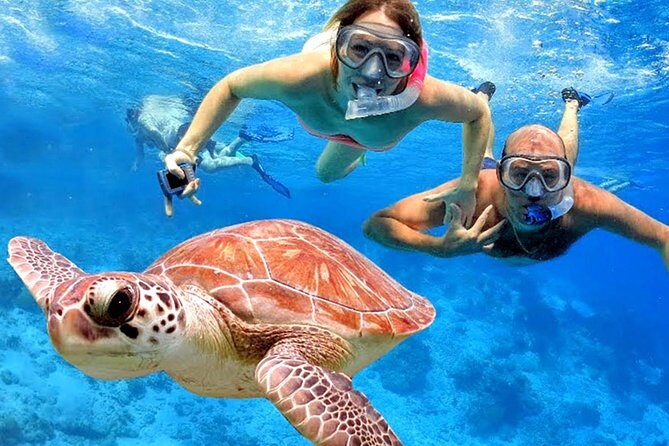 Blow Lagoon Bali Snorkeling and see Bali Bats Cave Temple - Detailed Breakdown of the Itinerary