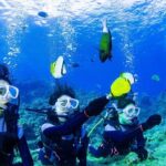 Blue cave experience diving [charter system / boat holding] | I am very satisfied with the beautiful facilities of the shop - The Sum Up