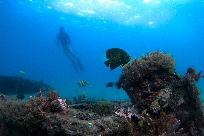 Blue Heron Bridge Guided Snorkel Tour - What Travelers Say: Authentic Feedback