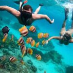 Blue Lagoon Snorkeling and Lunch - Ubud Monkey Forest - Waterfall - Snorkeling at Blue Lagoon: Bali’s Underwater Showcase