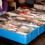 Blue Lagoon Snorkeling - Cave Waterfall - And More - All Included + FREE Wi-Fi - An In-Depth Look at Bali’s Blue Lagoon Snorkeling & More