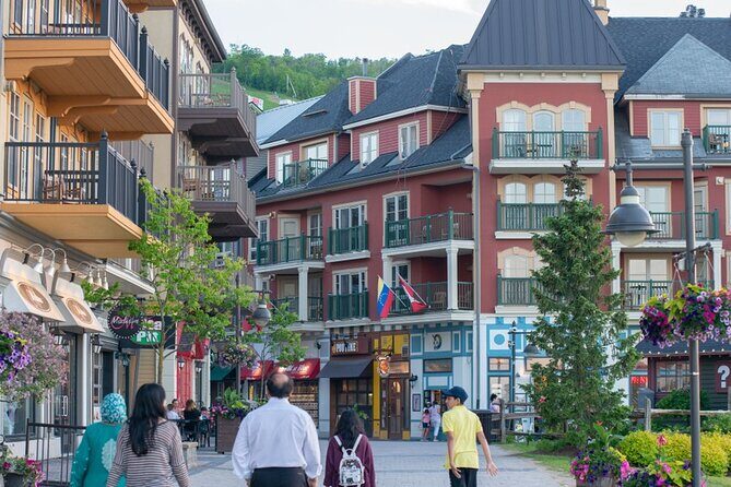 Blue Mountains Shuttle from Toronto Village or Scenic Caves - What travelers love (and what to consider)