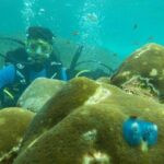 Boat Scuba Diving at Neil Island - Why Choose This Tour?