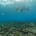 Boat Snorkeling Trip 2 Rounds Minna, Sesoko , Motobu Okinawa - What Makes This Tour Stand Out?