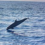 Boat Trip to See Marine Life in Puerto Escondido - Final Thoughts on the Marine Life Boat Trip in Puerto Escondido