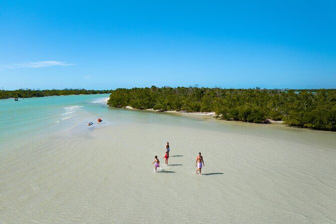 Boca Grande Kayaking Tour - Deep Dive: The Itinerary and Experience