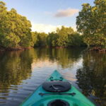 Bohol: Alburquerque Recreational Tour - Who Will Love This Tour?