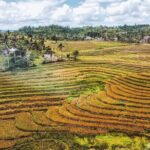 Bohol Alicia Panoramic Park - Authentic Insights from Travelers