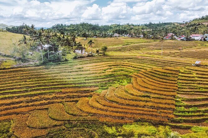 Bohol Alicia Panoramic Park - Authentic Insights from Travelers