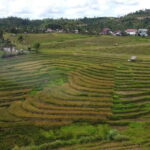 Bohol Candijay Rice Terraces, Water Falls & Anda Beach - Practical Details and Tips