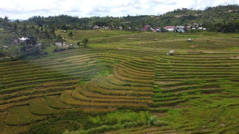 Bohol Candijay Rice Terraces, Water Falls & Anda Beach - Practical Details and Tips