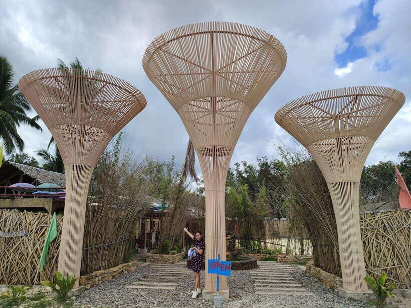 Bohol: Choco Tour & Tarsiers with Lunch - The Practical Side: What You Need to Know