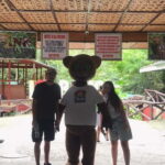 Bohol: Chocolate Hills, Loboc River, and Tarsier Tour - Practical Details and Tips