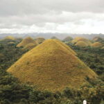 Bohol: Chocolate hills Private Eco-Tours - A Deep Dive into Bohols Private Eco-Tour