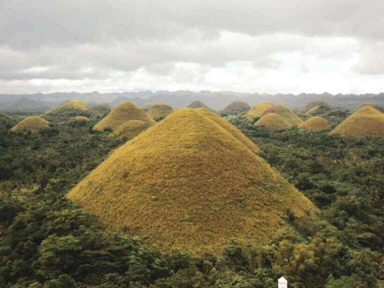 Bohol: Chocolate hills Private Eco-Tours - A Deep Dive into Bohols Private Eco-Tour