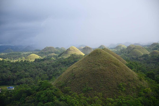 Bohol Chocolate Hills & Tarsiers with roundtrip ferry from Cebu - The Experience: What We Loved & What to Consider