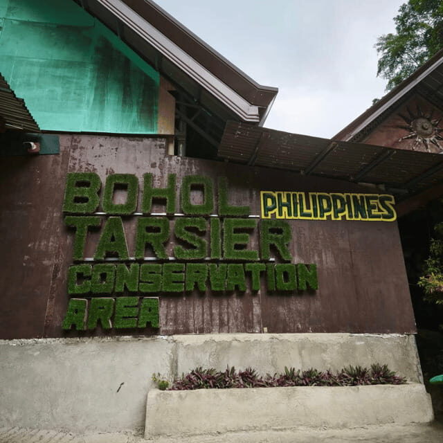 Bohol Chocolate Hills Tour with Loboc River Lunch Buffet - What Youll Experience