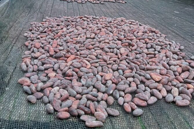 Bohol Countryside Tour with Lunch at Loboc River Cruise - The Sum Up: Is This Tour Right for You?