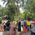 Bohol Day Tour with Round-Trip Transfers from Cebu - Final Thoughts: Is It Worth It?