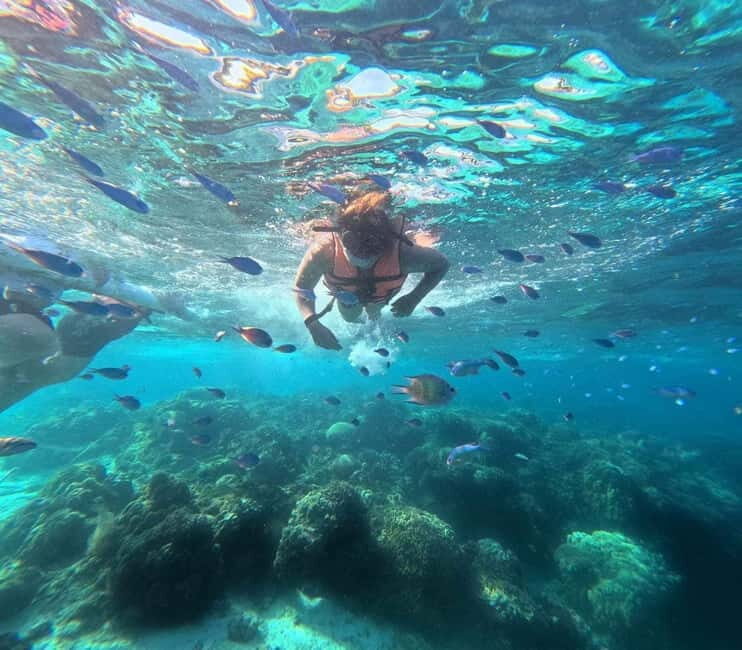 BOHOL: Dolphin Watching, Turtle Swim and Island Party - What to Expect: Practical Details