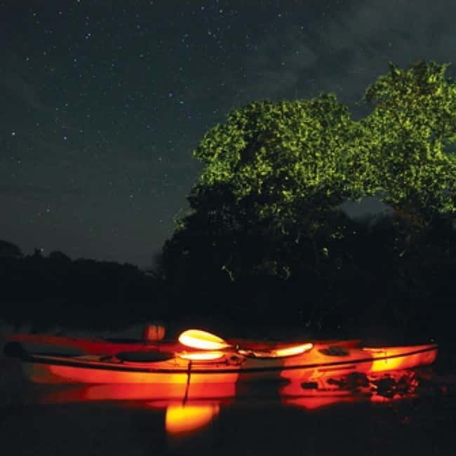 Bohol: Firefly Watching Shared Tour - A Detailed Look at the Firefly Watching Tour