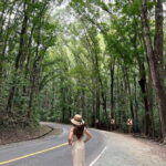 Bohol: Guided Chocolate Hills & Tarsiers Tour - The Authenticity and Support of the Guides